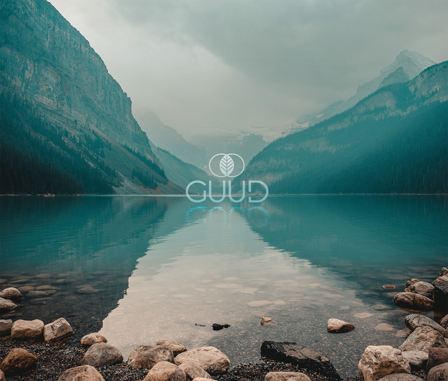 The GUUD Brand